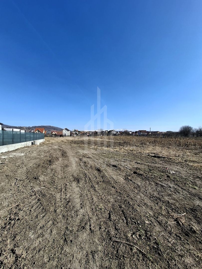Teren intravilan de vânzare în Sibiu| Gușterița – proiect de casă single avizat - Poză 4