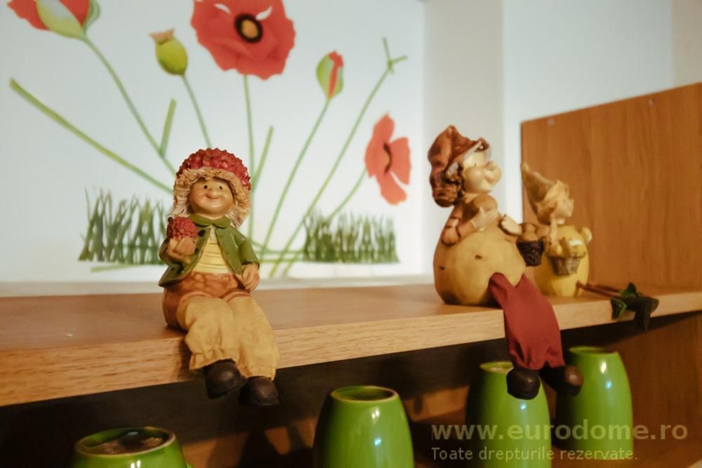 Casa renovata, mobilata si utilata complet - Poză 20