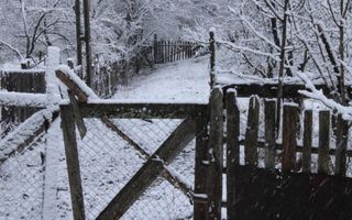 Teren cu izvor de apă minerală  Dangești, Punctul Valea Mare - Poză 12