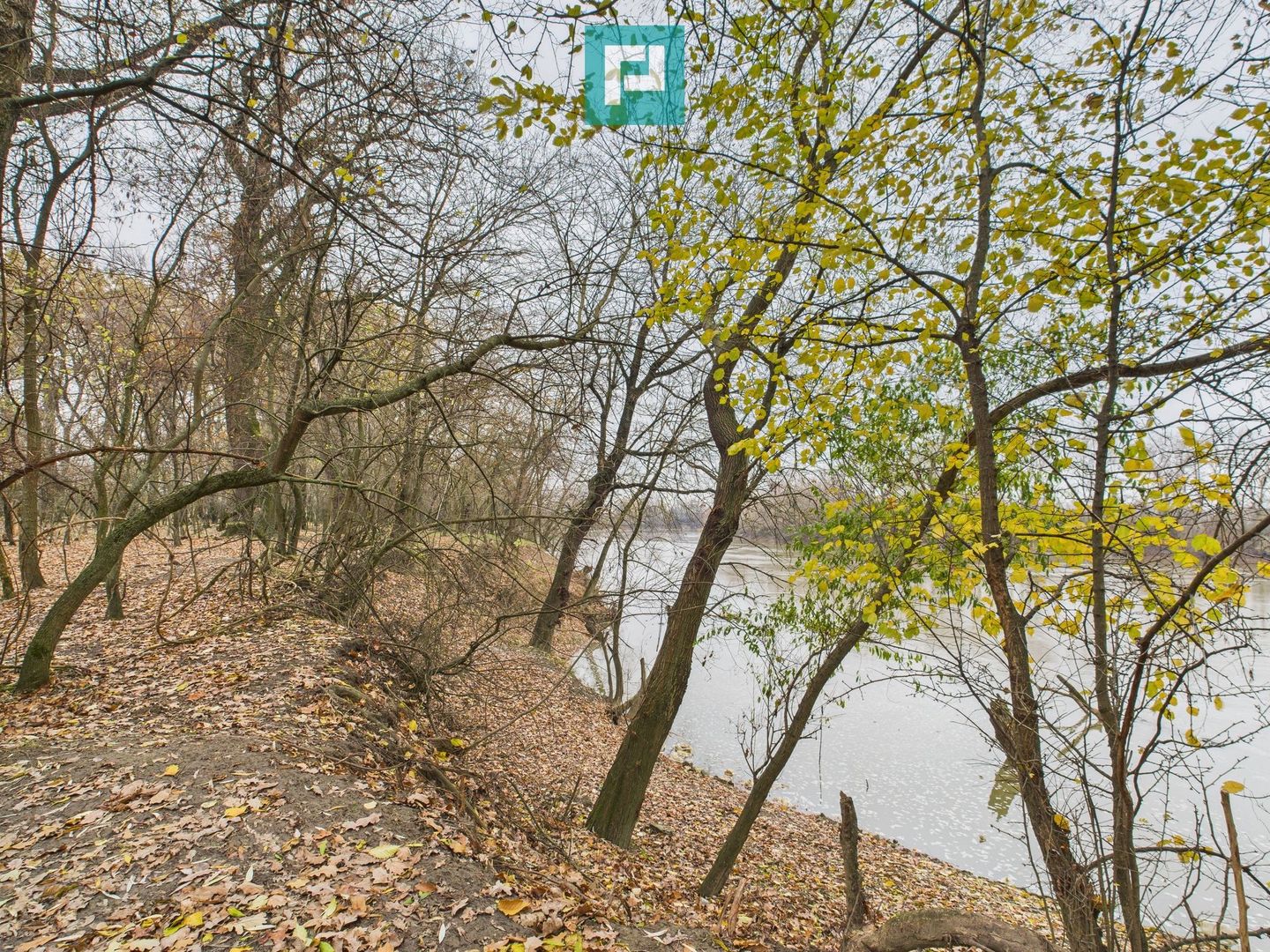 Teren pe malul Muresului- oportunitati multiple - Poză 18