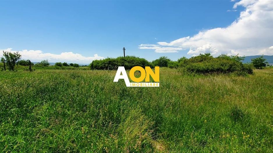 Teren de vanzare, zona soseaua de Centura, 10.000MP, deschidere 50ml - Poză 2