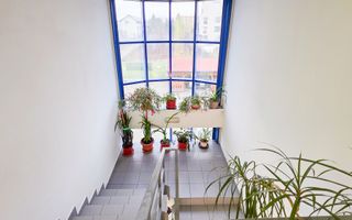 Spațiu industrial–afacere catering la cheie, teren&hală 750 mp S+P+1E - Poză 9