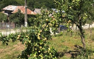 Vanzare teren intravilan cu utilitati trase, Babana - Poză 6