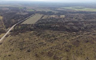 Teren extravilan 95.23 ha lângă Caransebeș - Poză 3