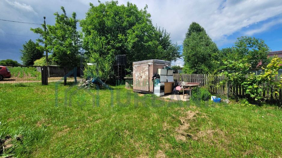 Teren cu vie și livadă, 5442 mp, Contesti (Valea Seaca), Iasi - Poză 3