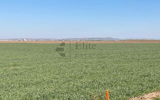 Teren 20.141 mp de vanzare in zona Aeroportului Oradea - Poză 9