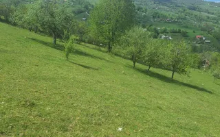 Poiana Sohodol I 5600 MP I Trei corpuri cladiri I Utilitati - Poză 13