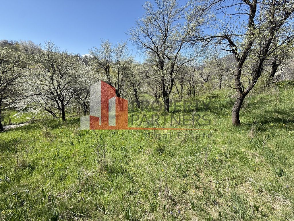 Teren 2500 mp Sohodol - Poză 12