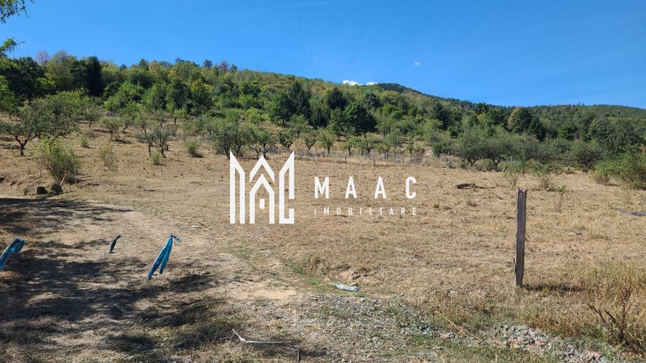 TEREN 5000 MP I SĂLIȘTE I PARCELABIL - Poză 1