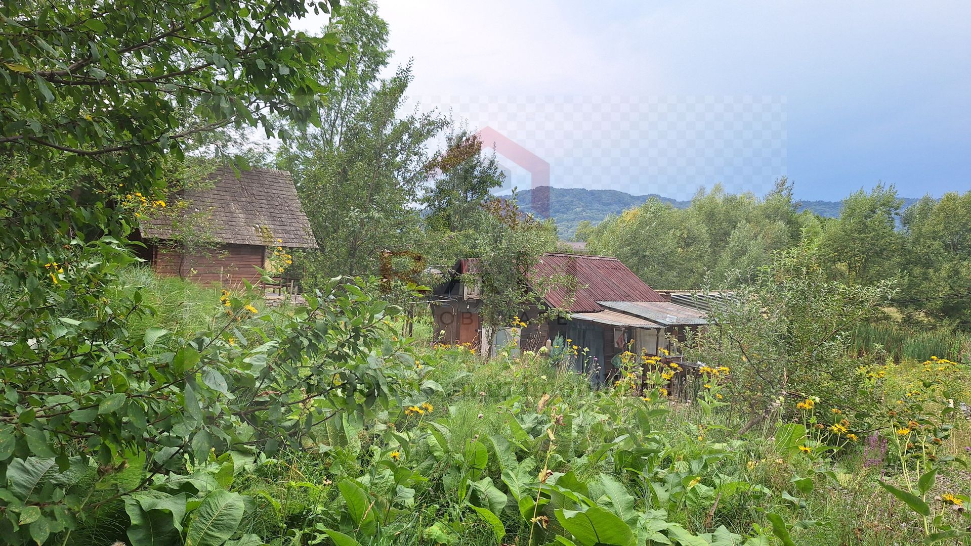 VANZARE ANSAMBLU CASUTE BRADULET ARGES - Poză 11
