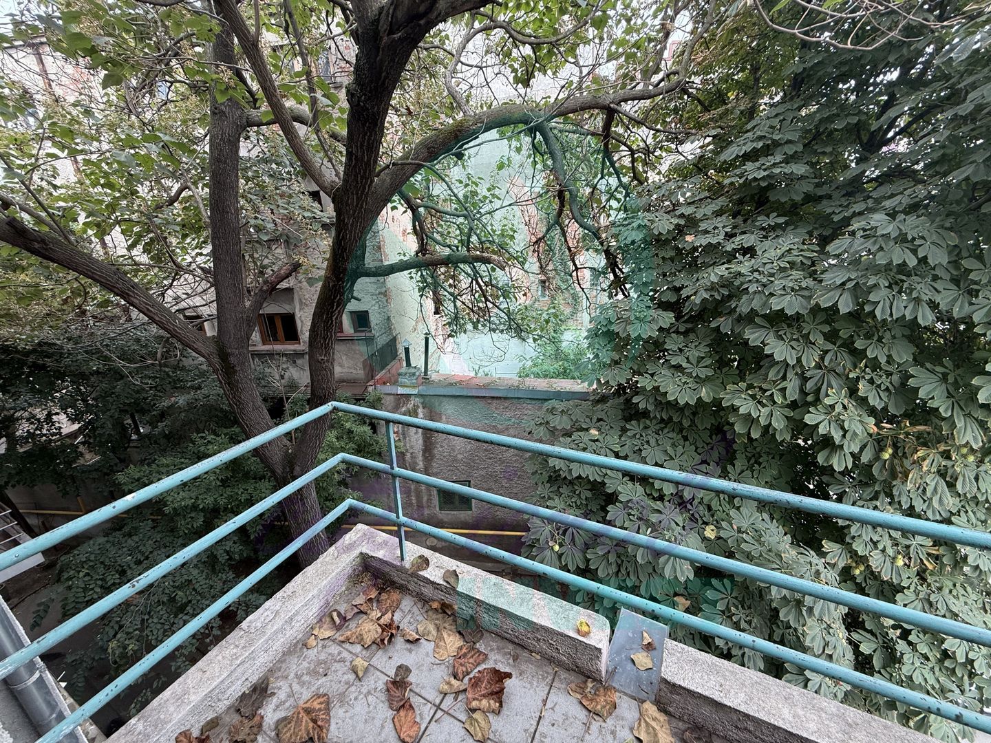 Eleganta, lumina si farmec interbelic - Poză 2