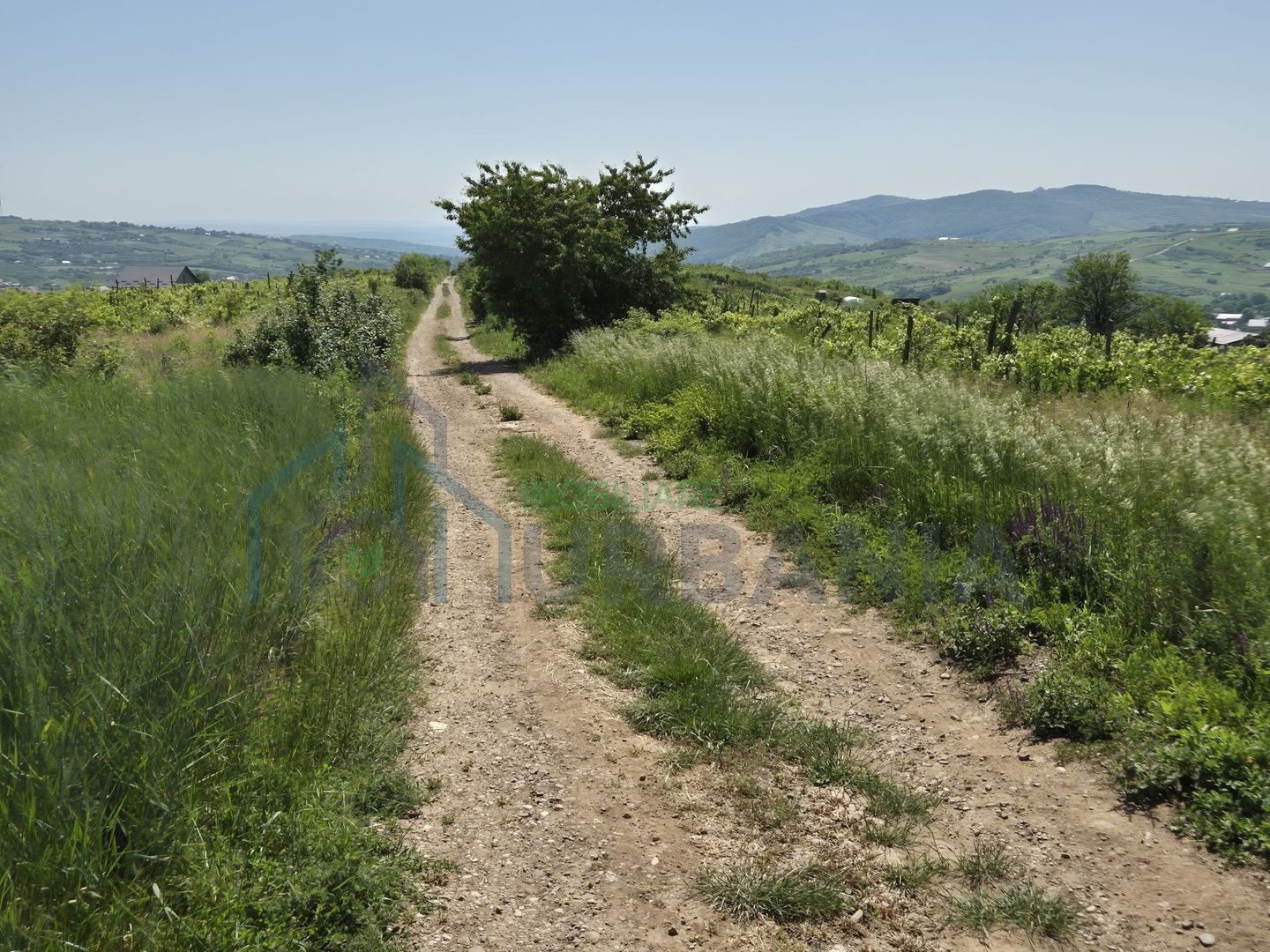 Teren intravilan de vânzare în Tomesti-Goruni – parcele de 700 mp și 3000 mp - Poză 6