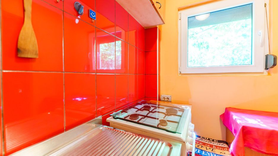 Apartament mobilat și utilat zona Podgoria - Poză 5