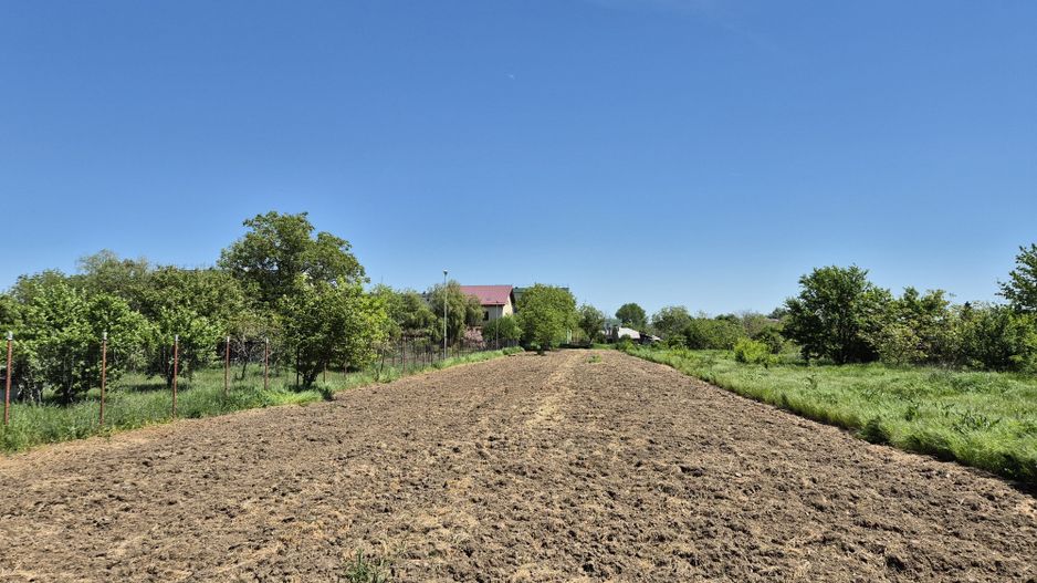 Teren intravilan 2658 mp - 1 Decembrie, Ilfov - Poză 5