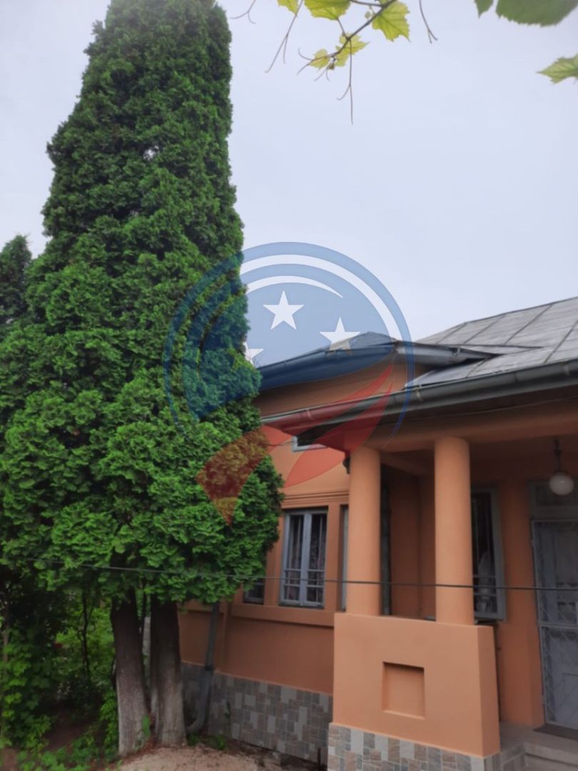 Casa de vanzare/Balcesti/Valcea/Str Pietii - Poză 11