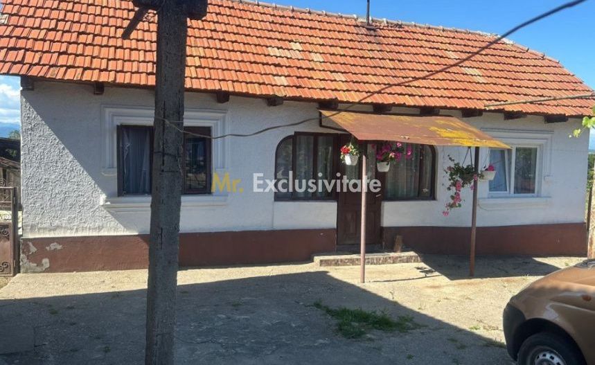 Proprietate cu potențial turistic și agricol | 7.661 mp|Șomanești-GORJ - Poză 2
