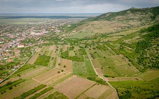 Teren extravilan - 3654 mp Dealul Șiriei - Poză 7