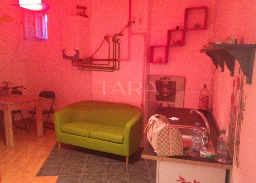 Apartament unic, Ultracentral, curte interioară – zona Casa de Cultura - Poză 2