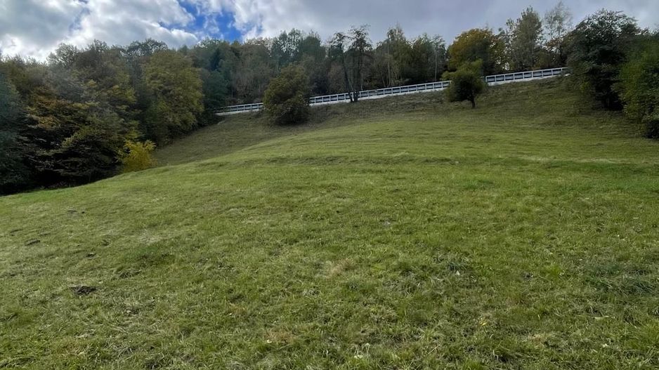 Teren extravilan cu priveliste catre Bucegi – Moieciu de Jos 4.700 mp - Poză 12