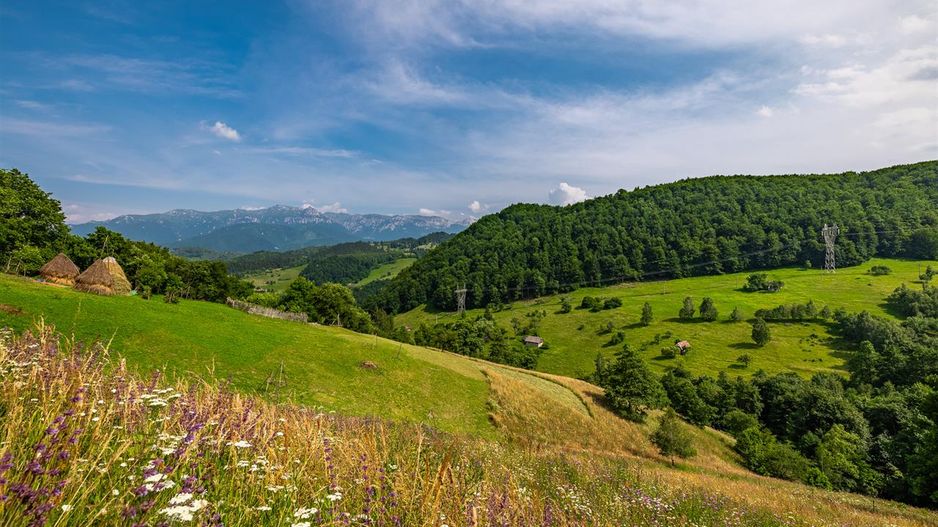 Aproape 4.000 mp, in fascinatia decorului montan, Bran, Moieciu de Jos, Brasov - Poză 4