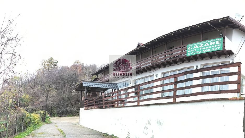 Proprietate langa Dunare – 3000 mp, priveliste si potential business - Poză 47