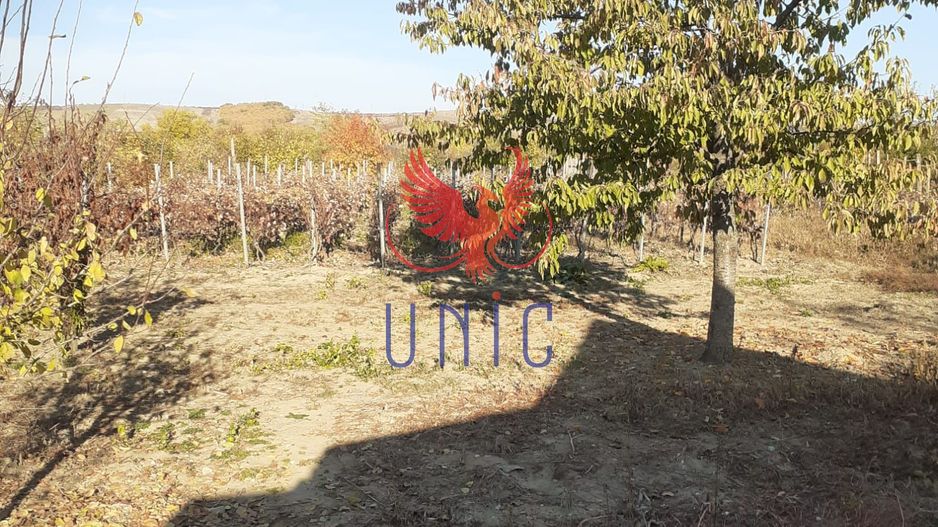 Casa Bradesti, teren 1239 mp - 29 995 Euro - Poză 5