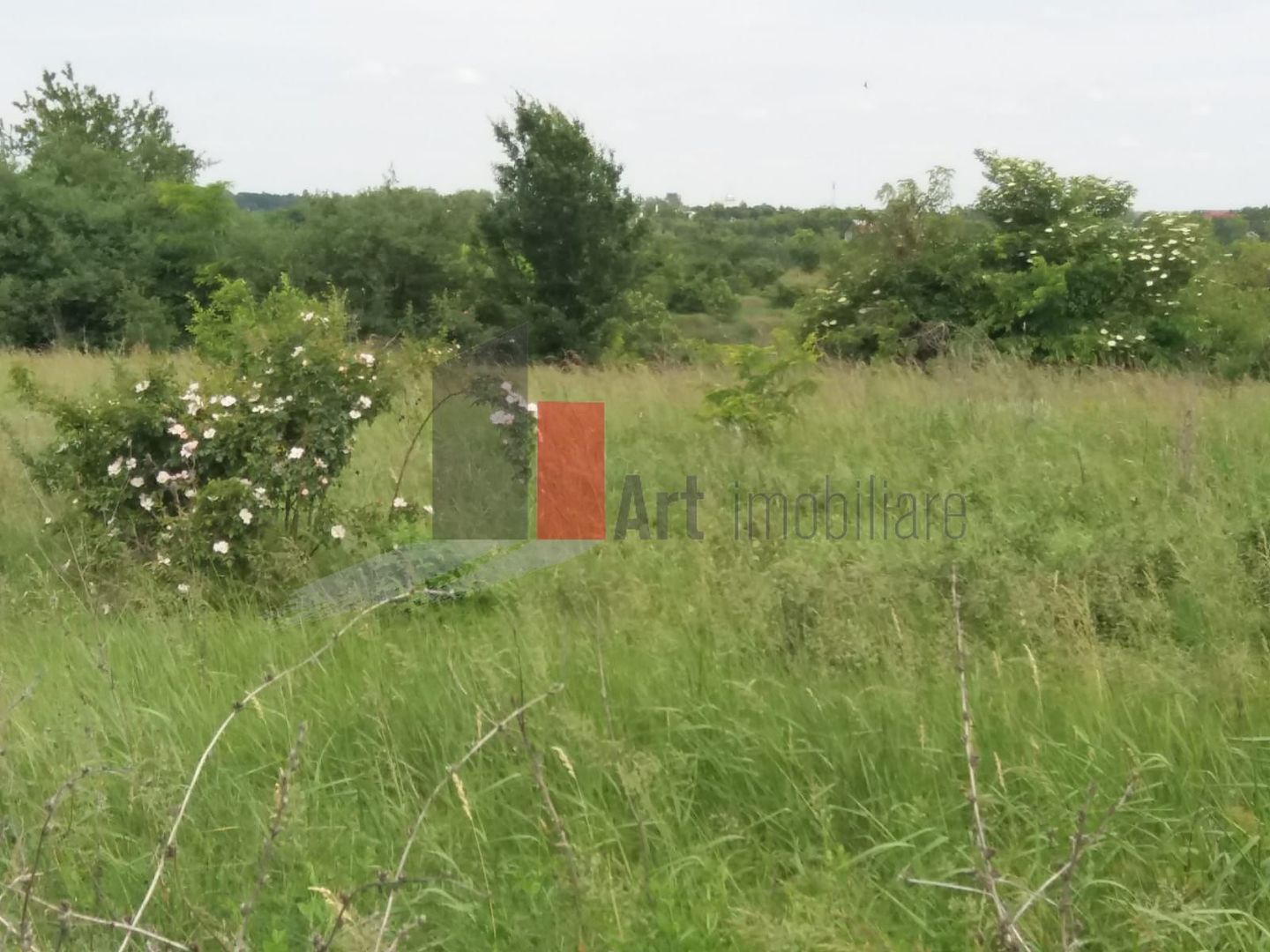 Teren Buftea cu iesire la lac - Poză 22