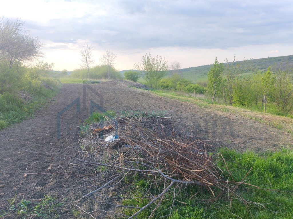 Teren intravilan de vânzare în sat Vânători, comuna Popricani, județul Iași - Poză 2