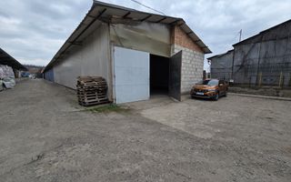Hale cu suprafatade  220 mp si 440 mp zona Ambient - Poză 1