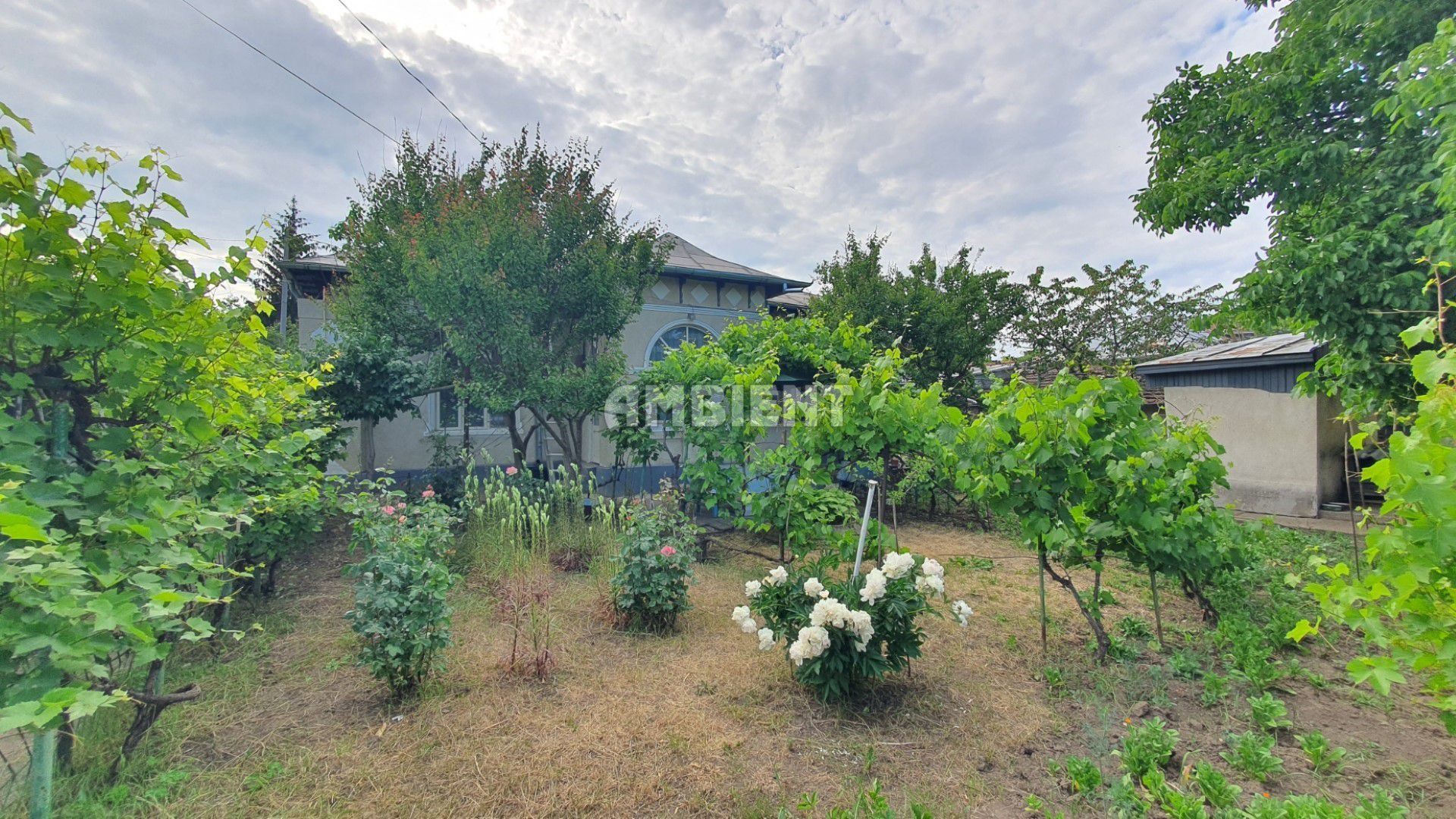 CASĂ INDIVIDUALĂ + teren 750 mp, zona CENTRALĂ; - Poză 1