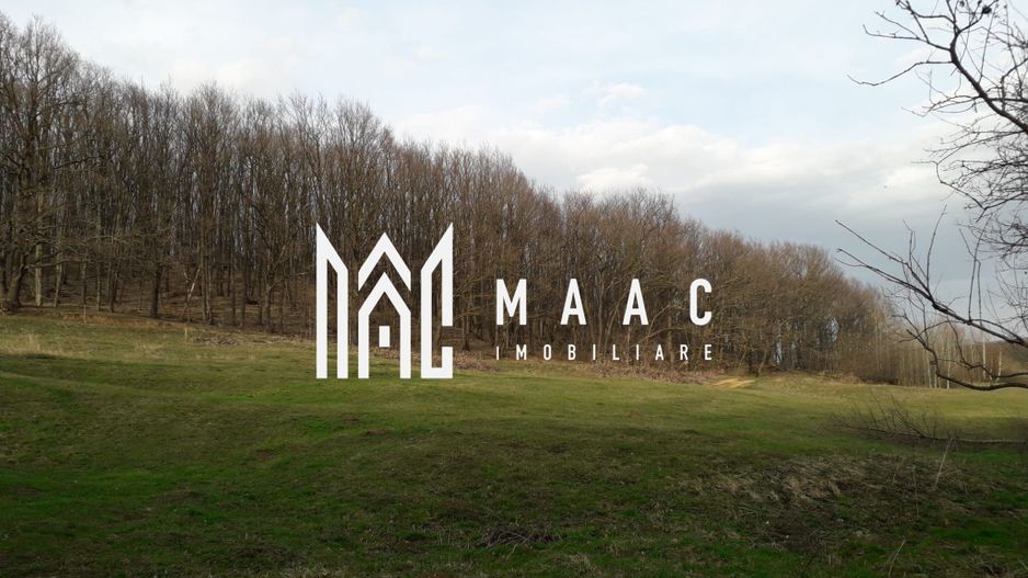 Teren Extravilan 4.572mp | Zonă liniștită | Sadu - Poză 7