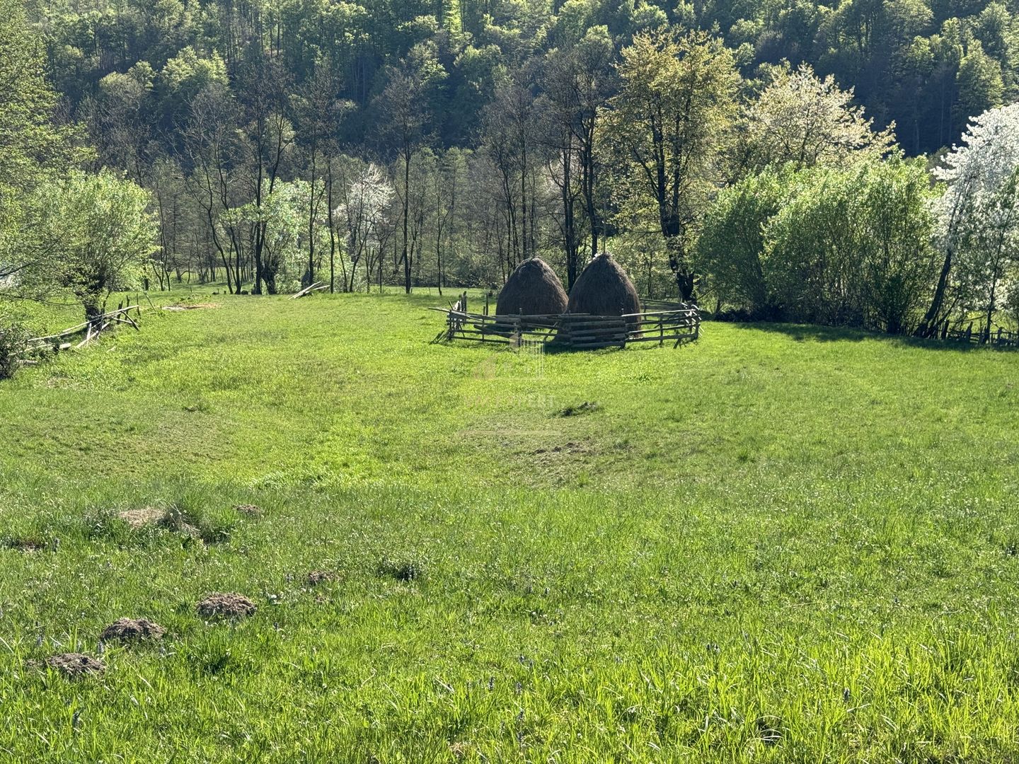 TEREN INTRAVILAN 2592 MP,  ALBESTI DE MUSCEL, ARGES - Poză 13