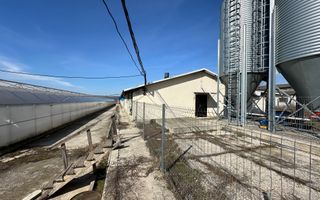 De Vânzare: Hală Modernă pentru Creșterea Porcilor – Complet Automatizată - Poză 1