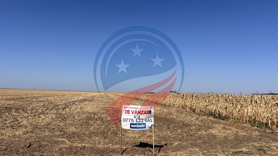 Teren intravilan de vanzare in Pielesti - Poză 1