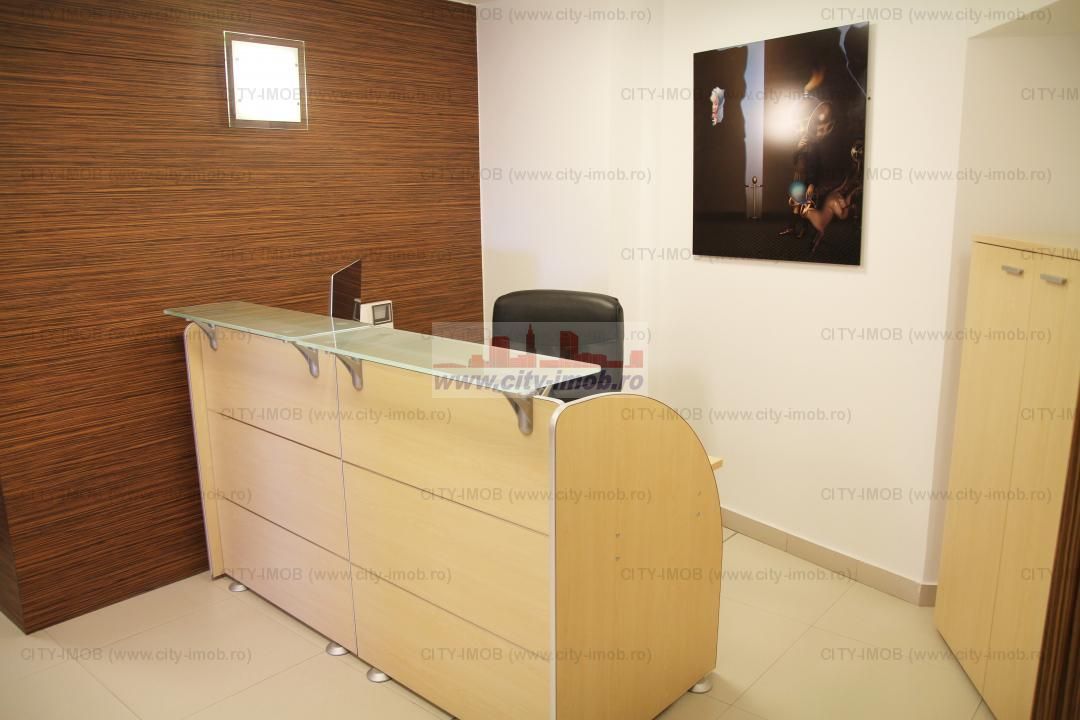 APARTAMENT 8 camere  VICTORIEI (Birouri / Rezidenta de lux ) - Poză 10