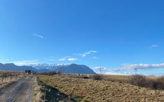 Teren Sohodol 10.000 mp - Poză 5