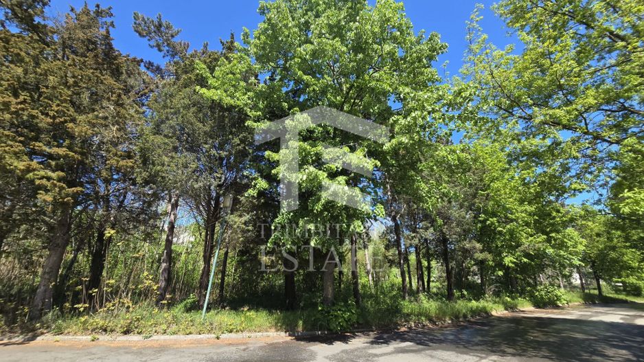 🏖 Teren de vanzare in Neptun – O oportunitate rara de investitie. - Poză 18