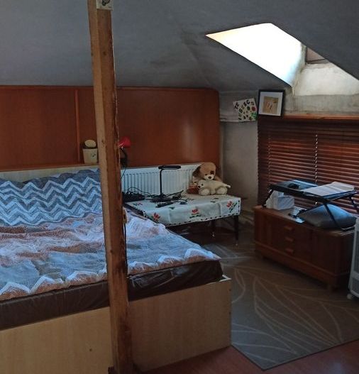 De vanzare Casa individuala singur la curte, Mihail Sebastian, CENTRAL - Poză 4