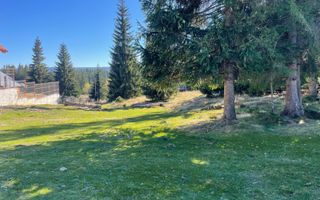 Teren Intravilan de 3300 mp de Vanzare in Marisel - Poză 2