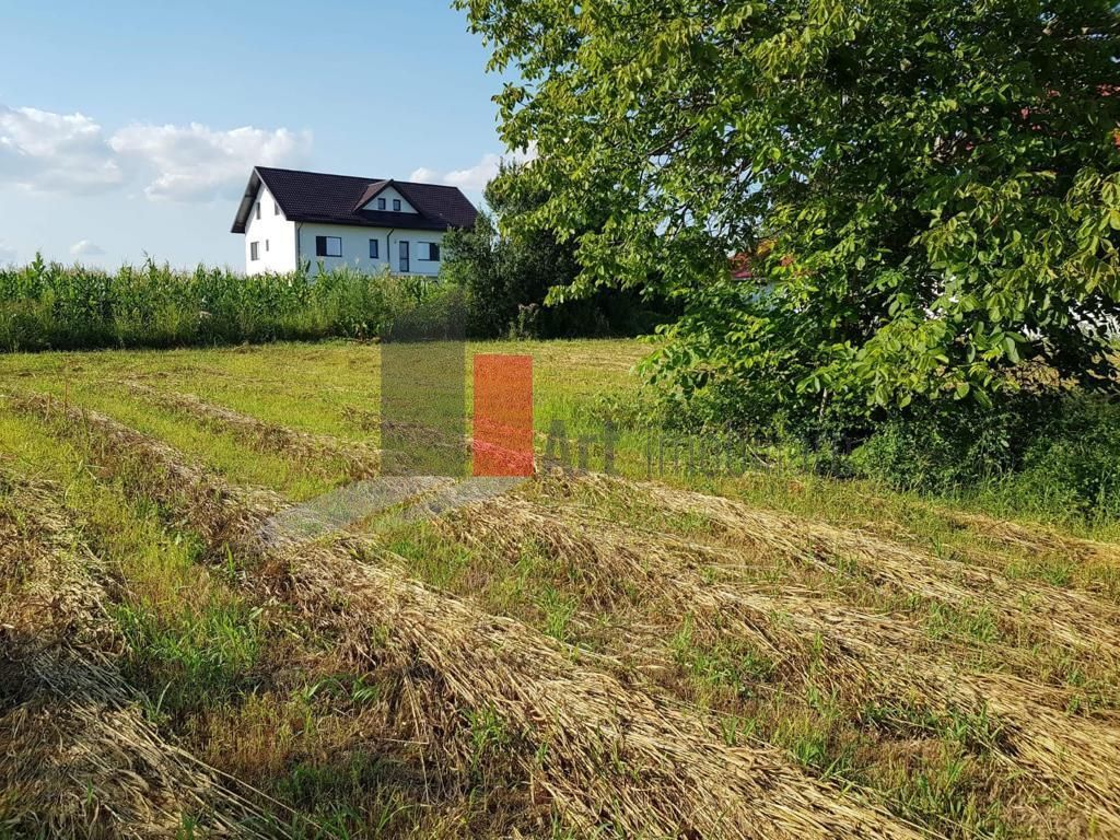 Teren Adunații Copăceni - Poză 6