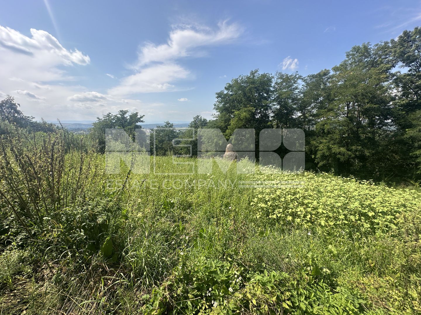 Teren Darmanesti | 41 Ari | 26.500EURO - Poză 3