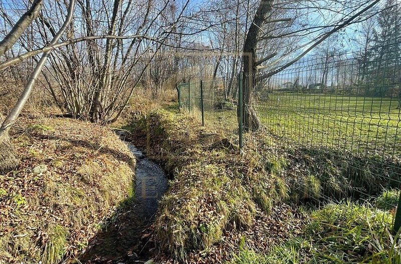 Teren 3349 mp de Vânzare | Bran – Panoramă Munții Bucegi - Poză 13