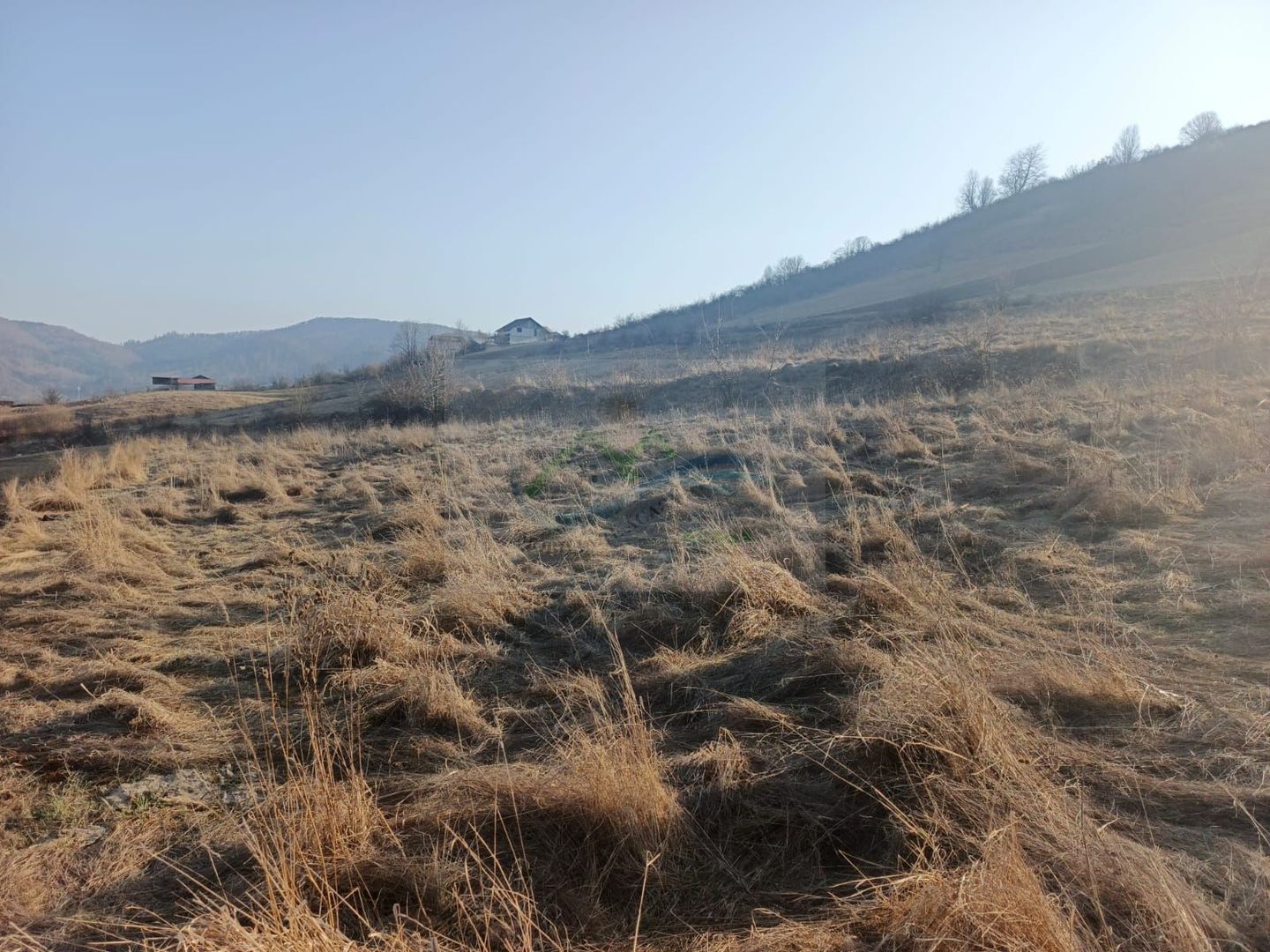 Teren extravilan 3000 mp de vănzare - Poză 5