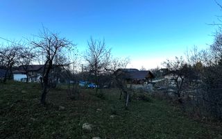 Teren Intravilan cu 2 Deschideri 4000mp Predelut-Bran | GOPO - Poză 7