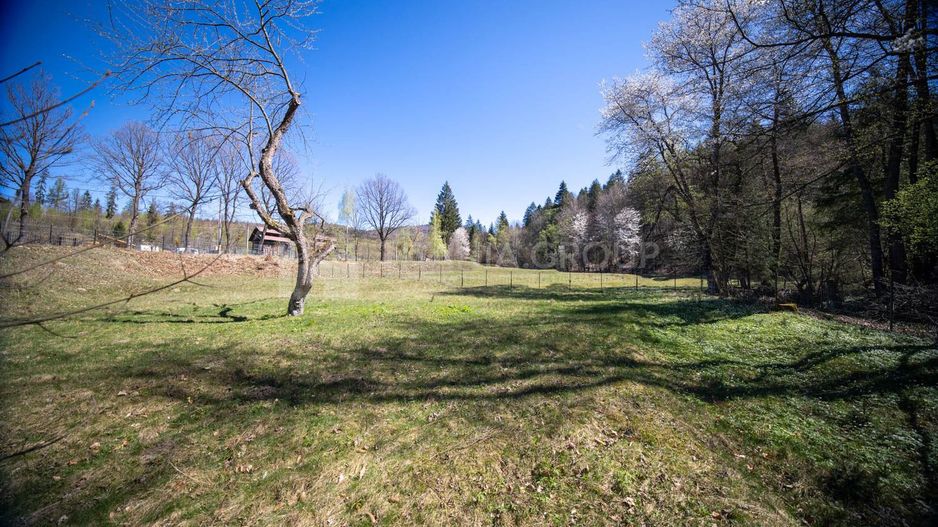 Teren intravilan, pretabil pentru casa de vacanta, 2000 mp - Poză 15