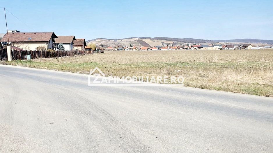 Teren 27.000 mp.deschidere la 2 drumuri ,75 euro mp. - Poză 3