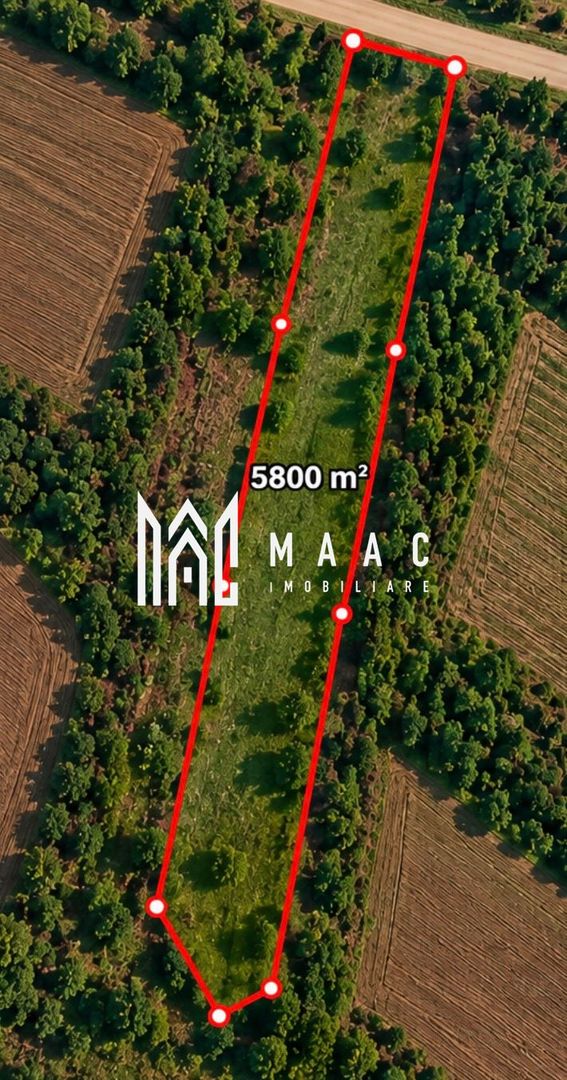Teren 5800MPU I Arabil I Ideal Cabana I Construcții I Acces drumuri I Daia - Poză 2