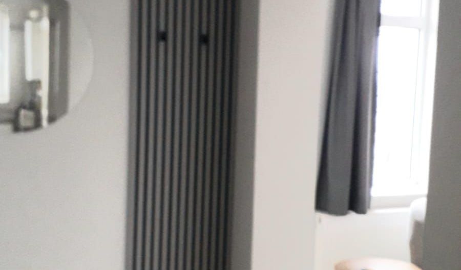 De inchiriat 2 apartamente cu 2 camere, etaj 1/2, strada Domneasca, 500 E - Poză 3