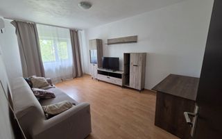 Apartament 2 camere, decomandat, etaj 4/4, zona Nicolina, Iasi - de inchiriat - Poză 6