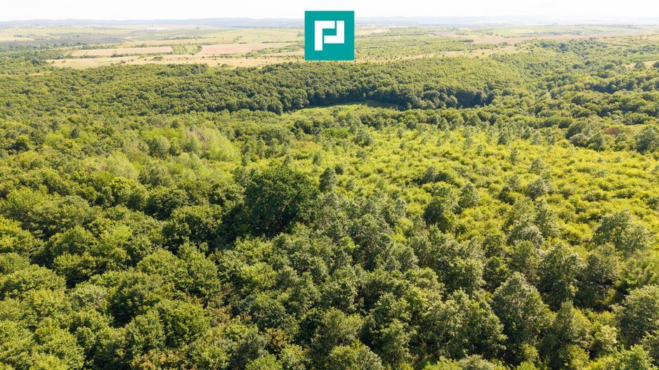 TEREN AGRICOL EXTRAVILAN  22.900 MP LIPOVA - Poză 15